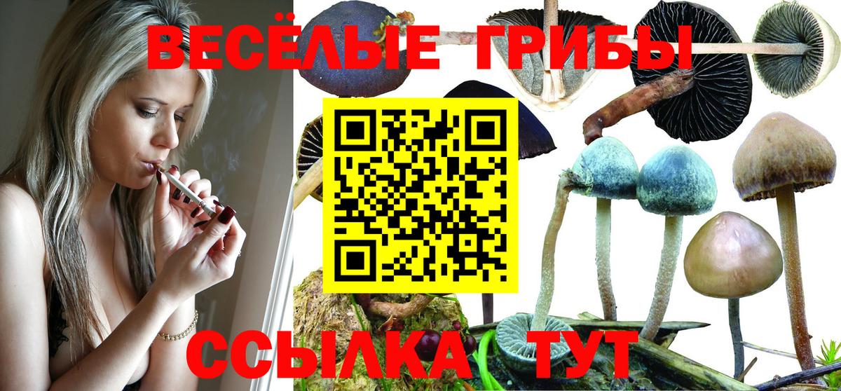 Коряжма  Псилоцибиновые грибы MAGIC MUSHROOMS  Вход с VPN 