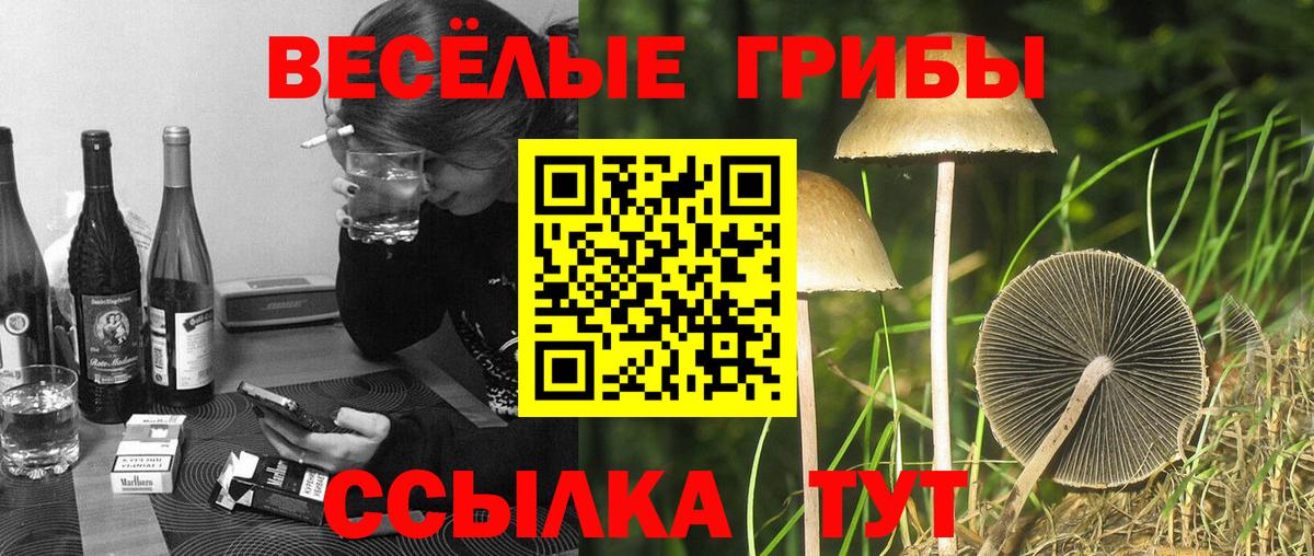 Псилоцибиновые грибы мицелий Коряжма